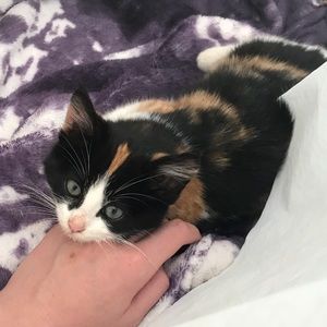 12/17 Airfield Rescue